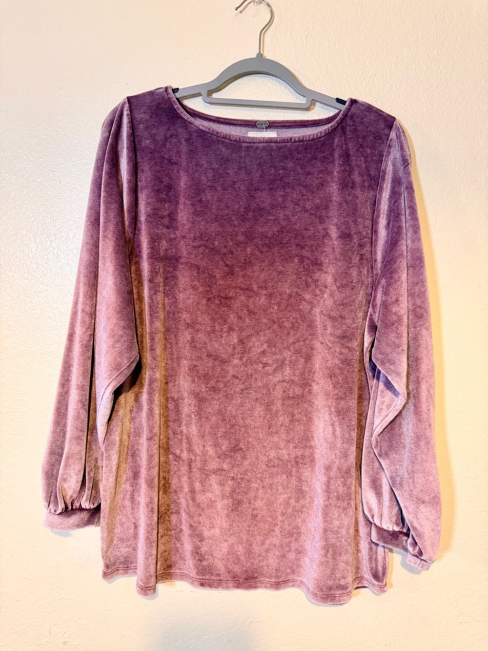 Cupio Plush Velvet Top in Mauve Pink